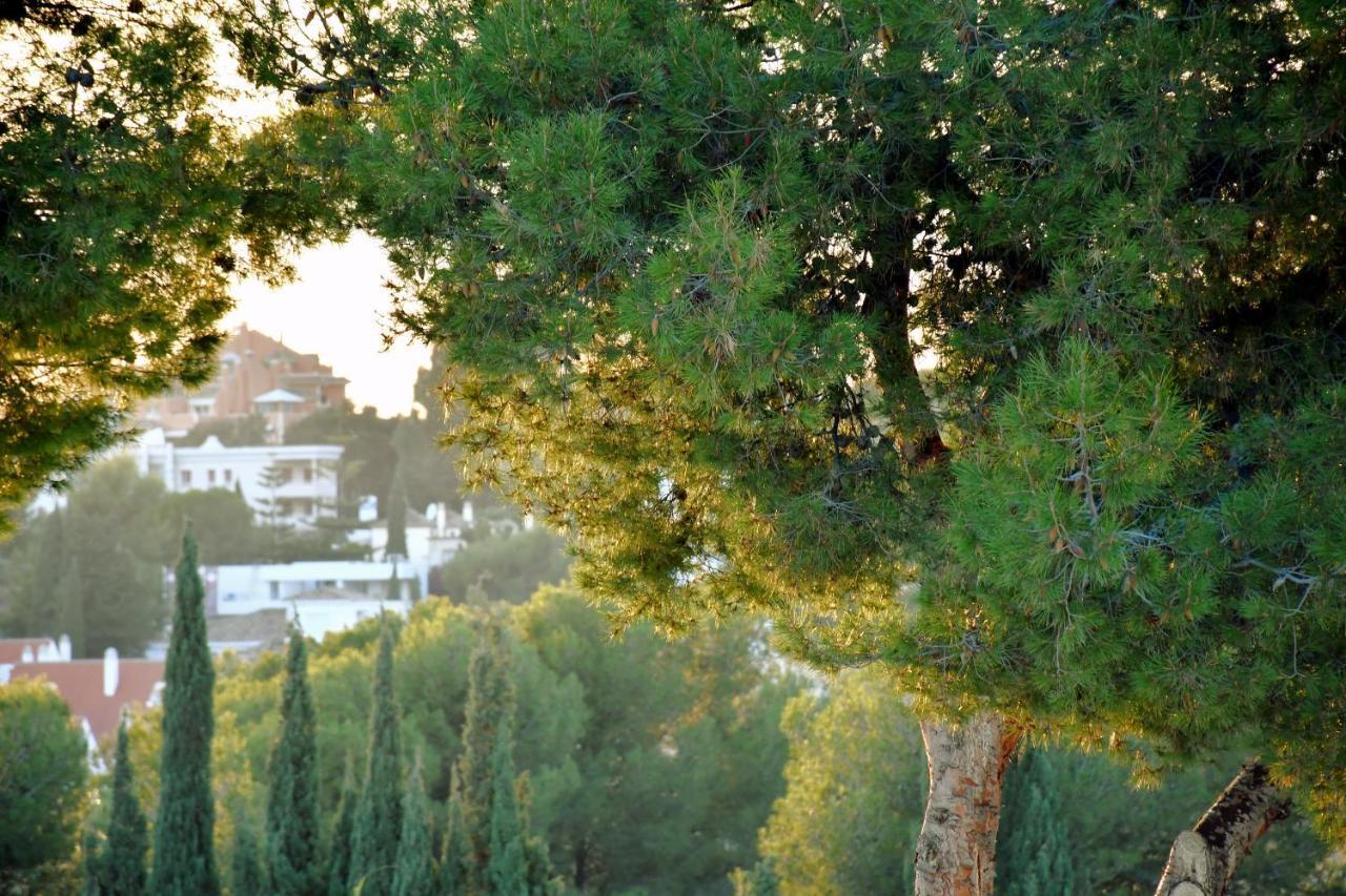 Yellow Jasper - Gemstone Getaway Vakantiehuis *